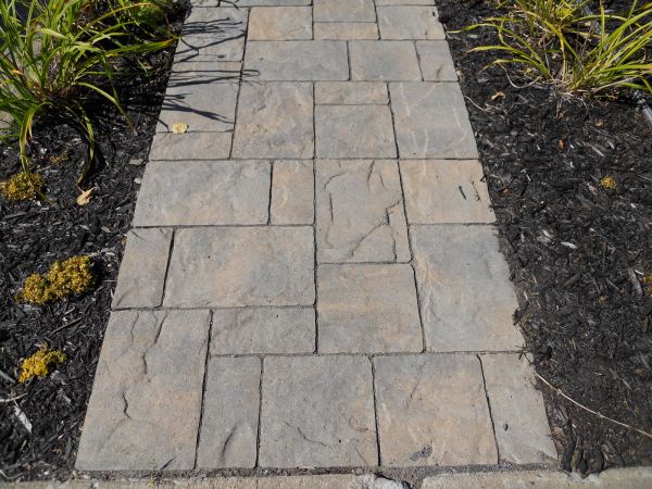 Cost of Stamped Concrete Staining in Laguna Niguel